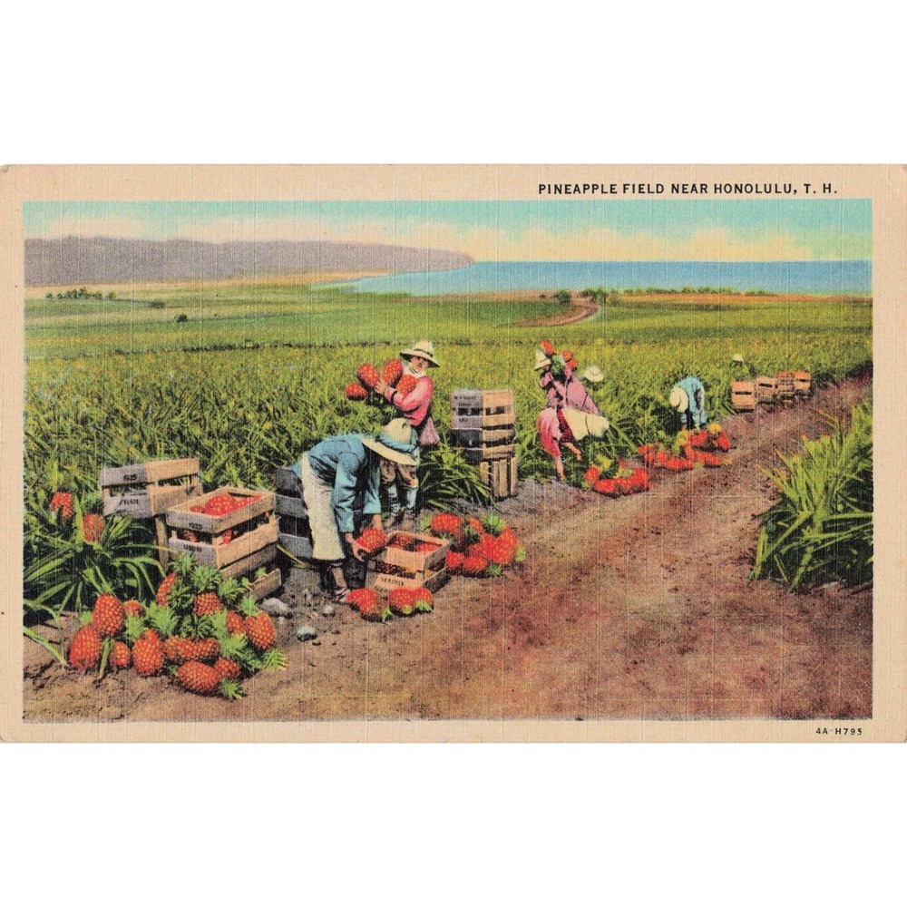 Honolulu Hawaii HI Pineapple Field Linen Postcard USS Avery Island WWII Navy